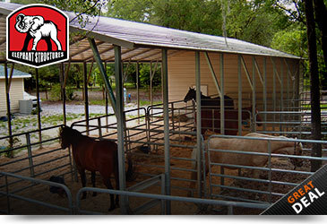 Metal Horse Barn Run In Shelter
