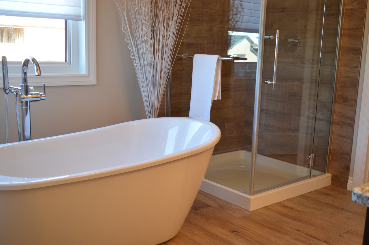 Modern tub with clear shower 